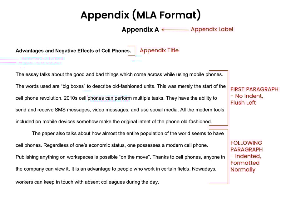 Appendix example